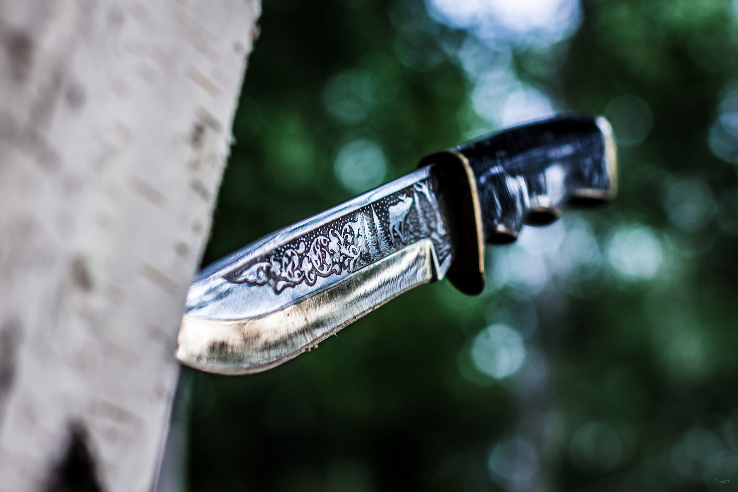 A detailed, ornate knife is embedded in the side of a tree trunk, with a blurred green and white natural background.