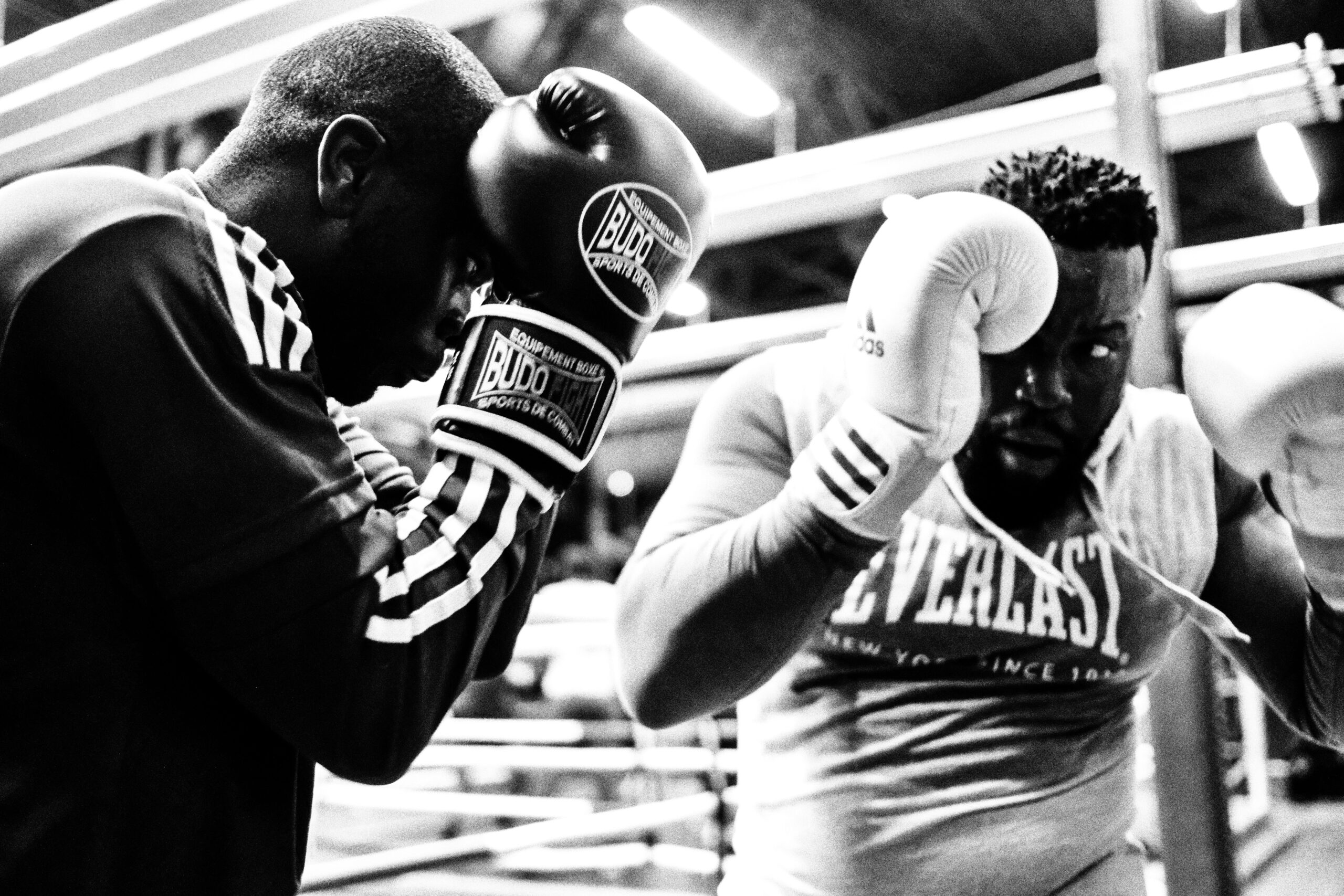 Two male boxers, wearing gloves and athletic gear, face off in a boxing ring. The intense black-and-white close-up highlights their determination, evoking the understanding of fight, flight, freeze, and fawn responses in the heat of competition.